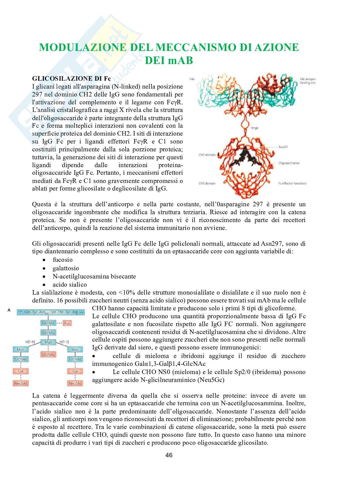 Biotecnologie delle cellule staminali Pag. 46
