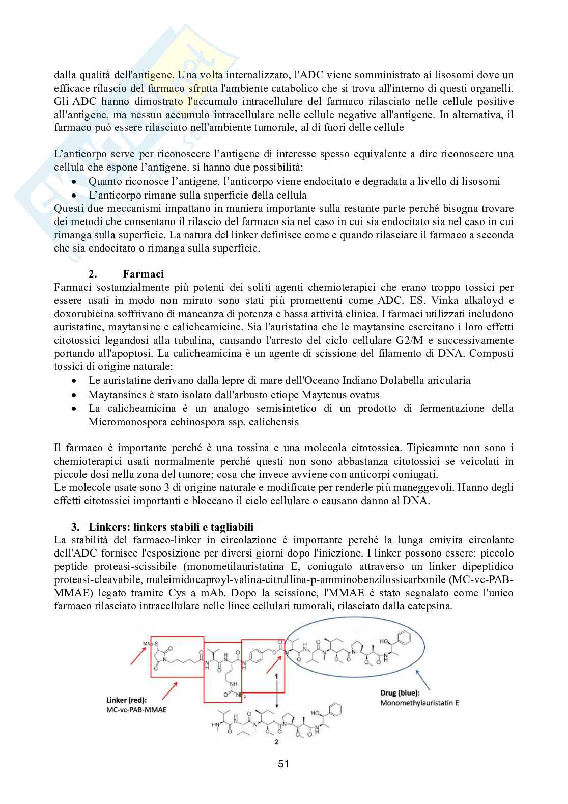 Biotecnologie delle cellule staminali Pag. 51