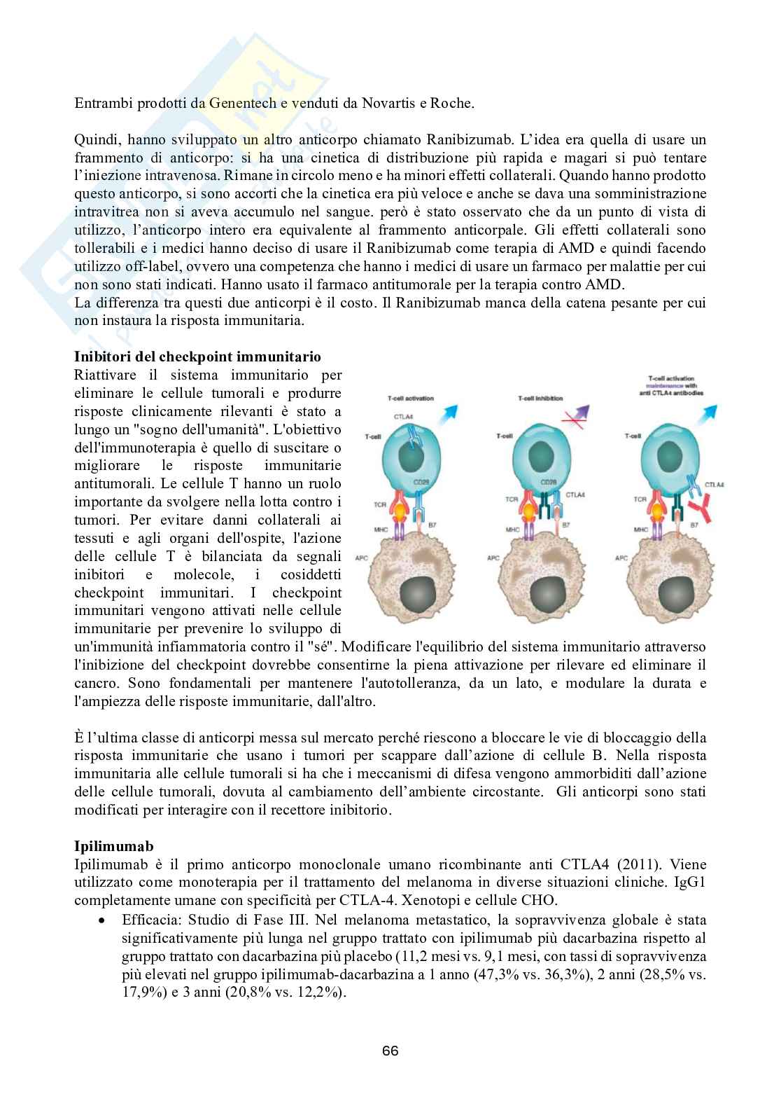 Biotecnologie delle cellule staminali Pag. 66