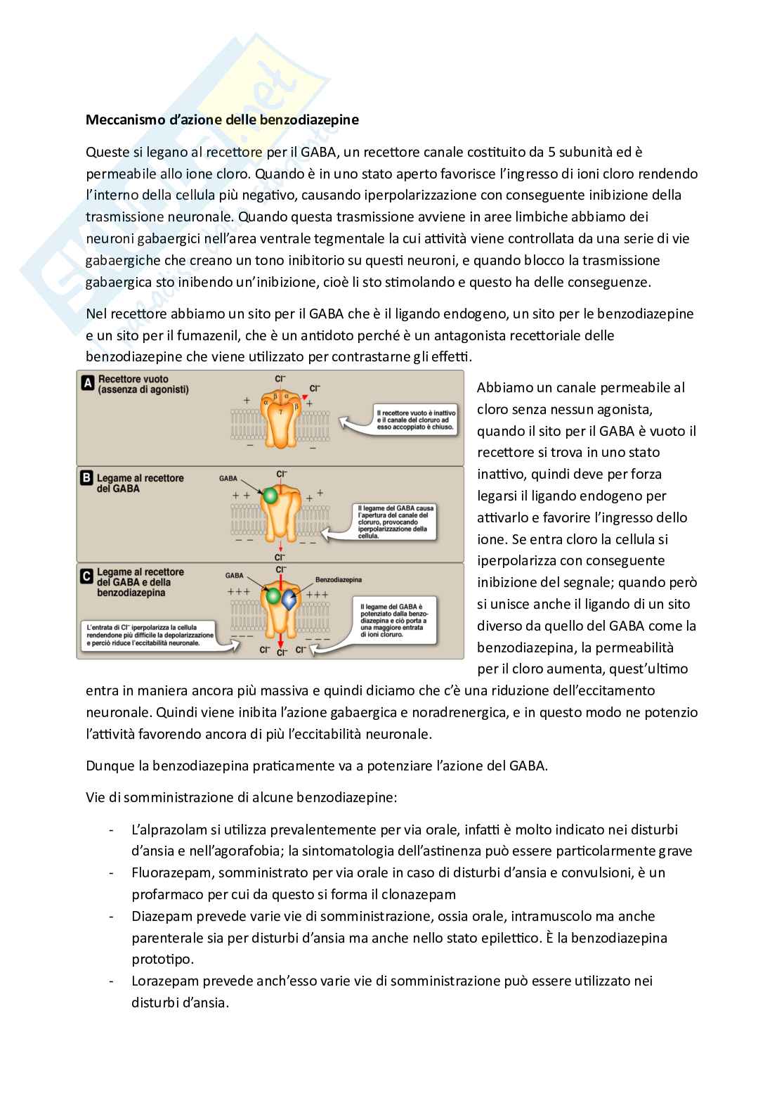 Esame di Farmacoterapia 1 - parte 1 Pag. 21