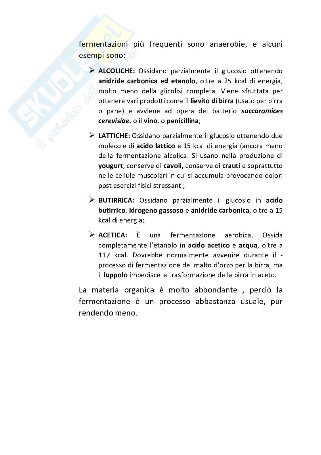 Biologia vegetale Pag. 46