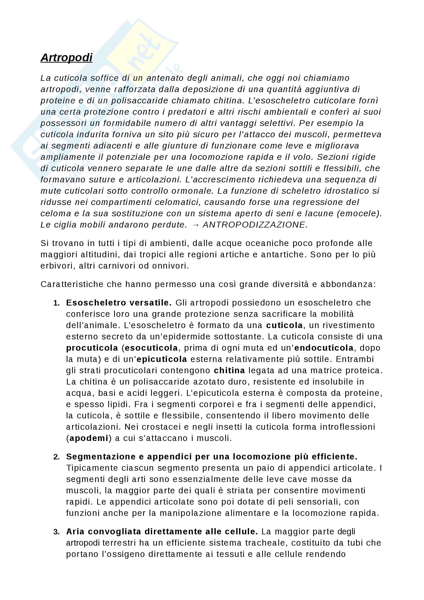 Riassunti Artropodi Pag. 1