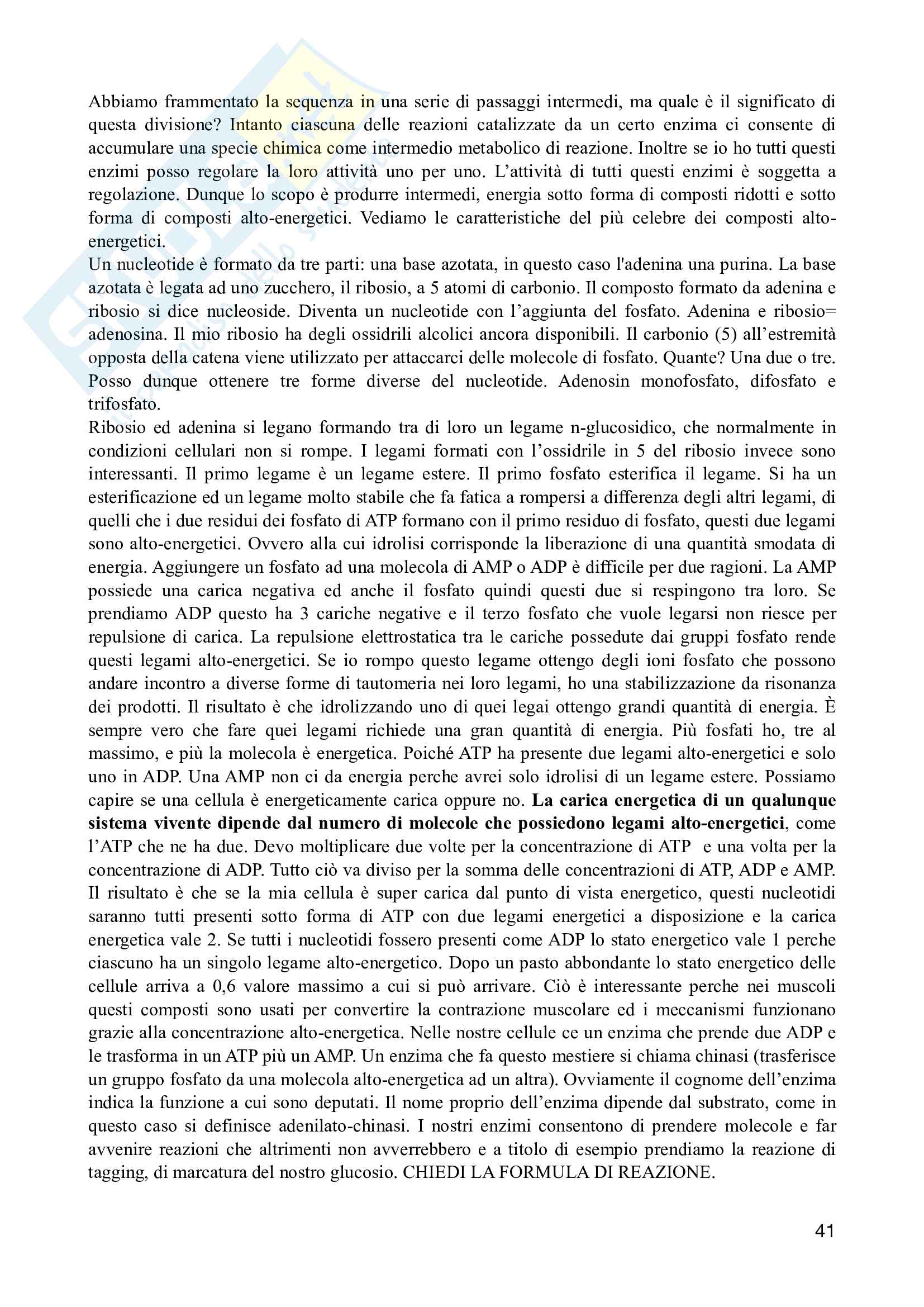 Biochimica generale e alimentare - prof. Bonomi e Iametti Pag. 41