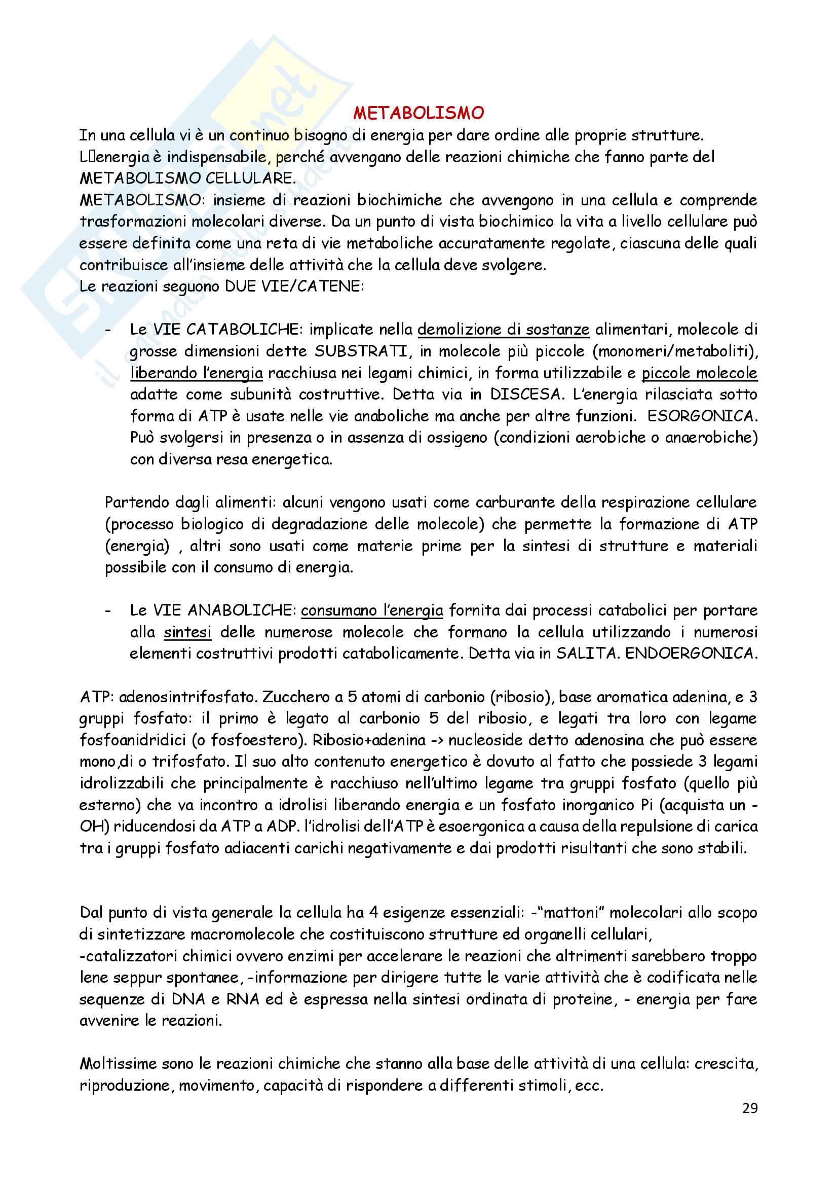 Biologia animale 2 Pag. 1