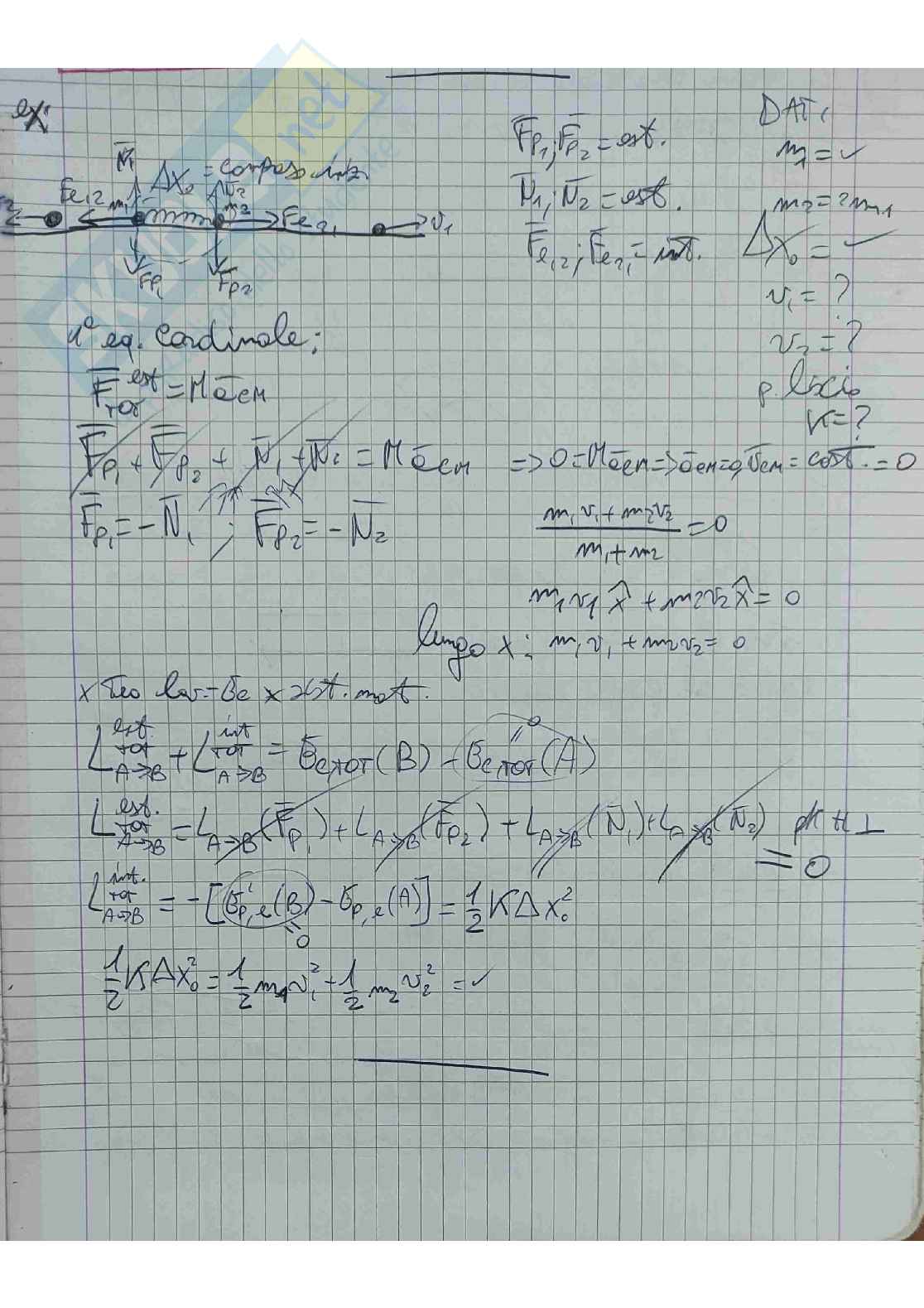 Esercizi d'esame svolti Fisica  Pag. 31