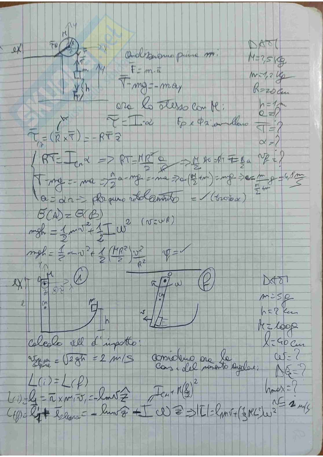 Esercizi d'esame svolti Fisica  Pag. 46