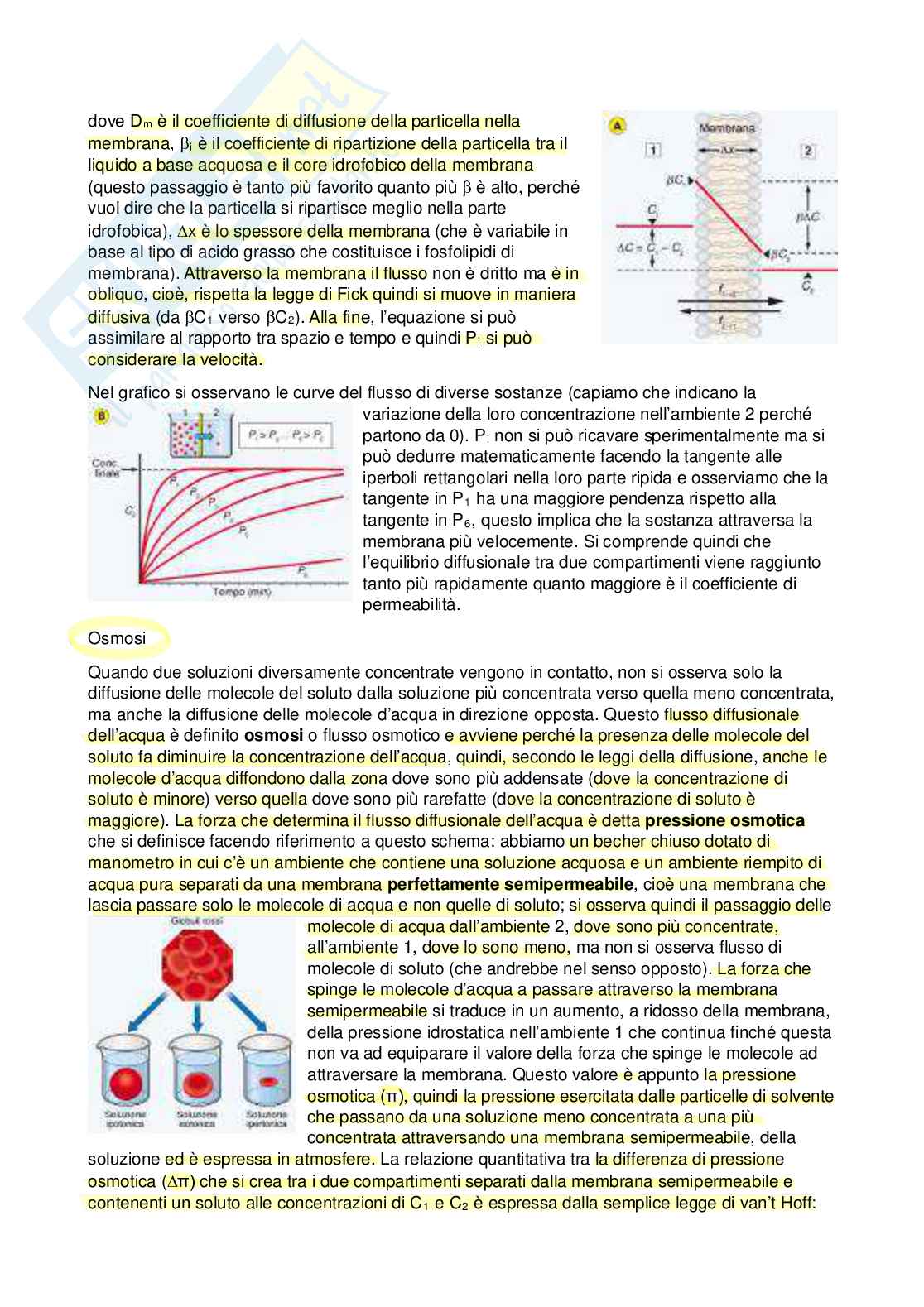 Fisiologia - Prima parte  Pag. 11