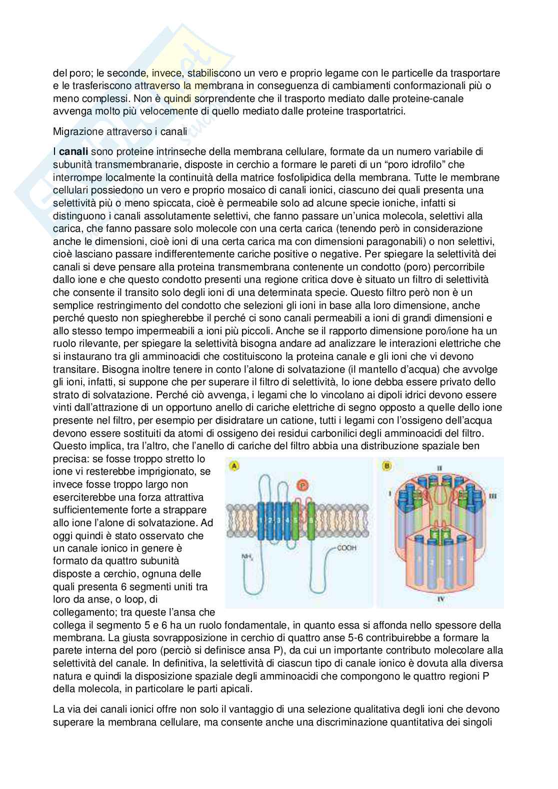 Fisiologia - Prima parte  Pag. 16