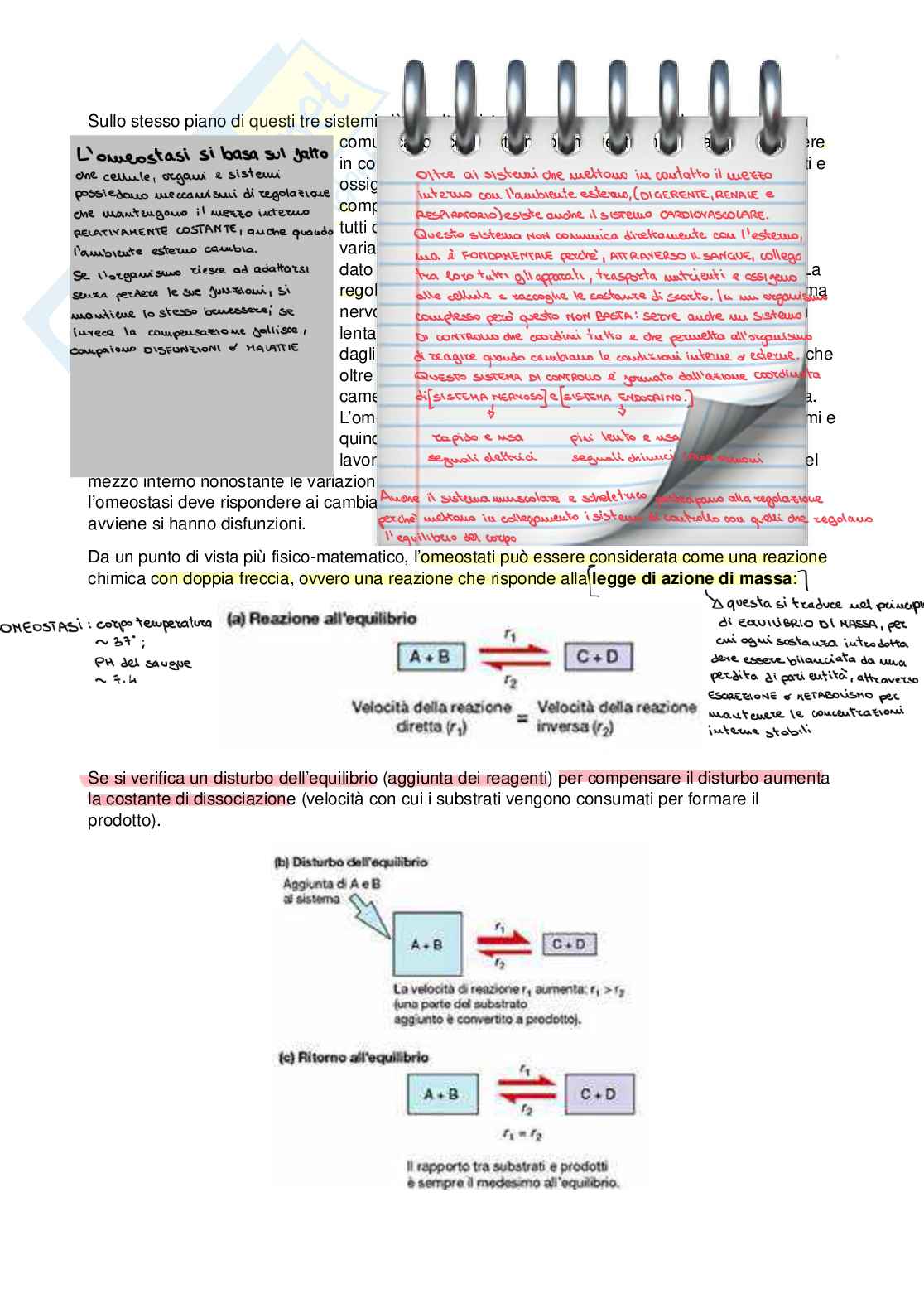 Fisiologia - Prima parte  Pag. 2