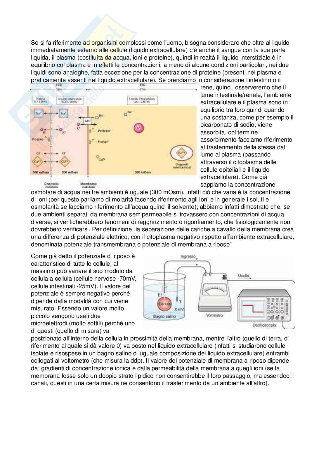 Fisiologia - Prima parte  Pag. 36
