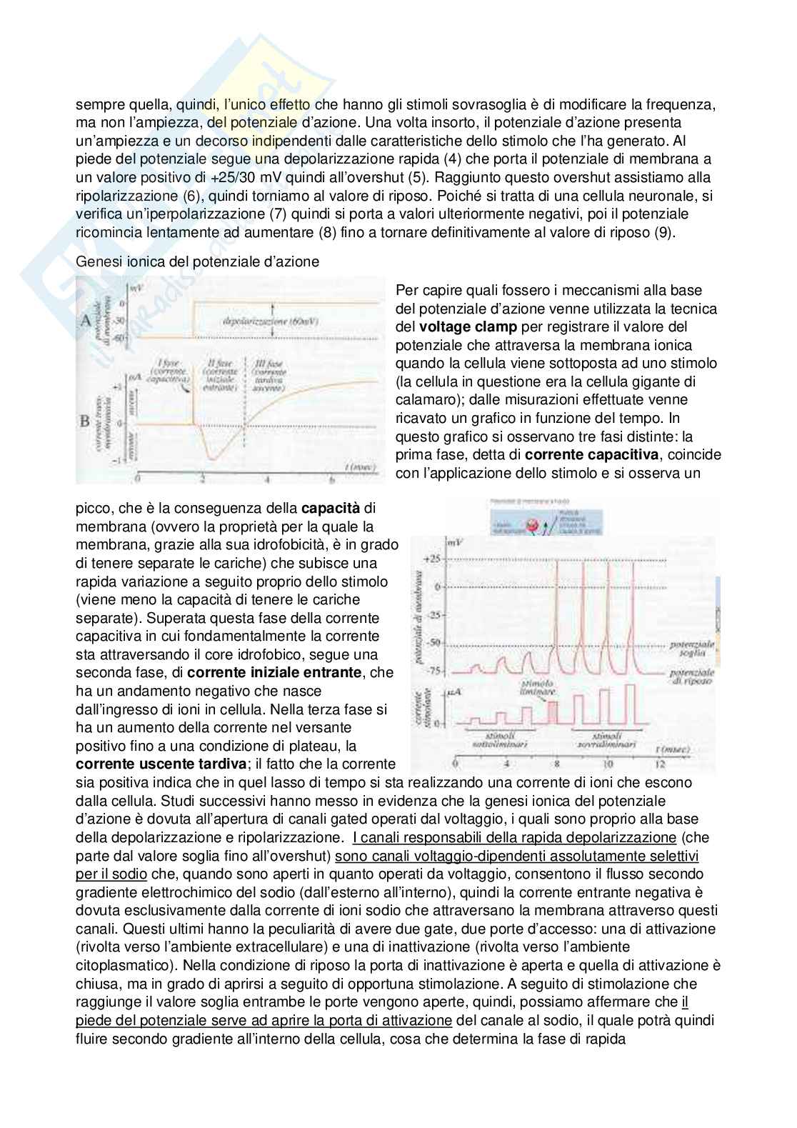 Fisiologia - Prima parte  Pag. 41