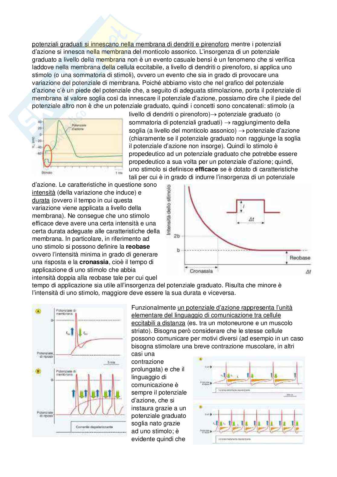 Fisiologia - Prima parte  Pag. 46