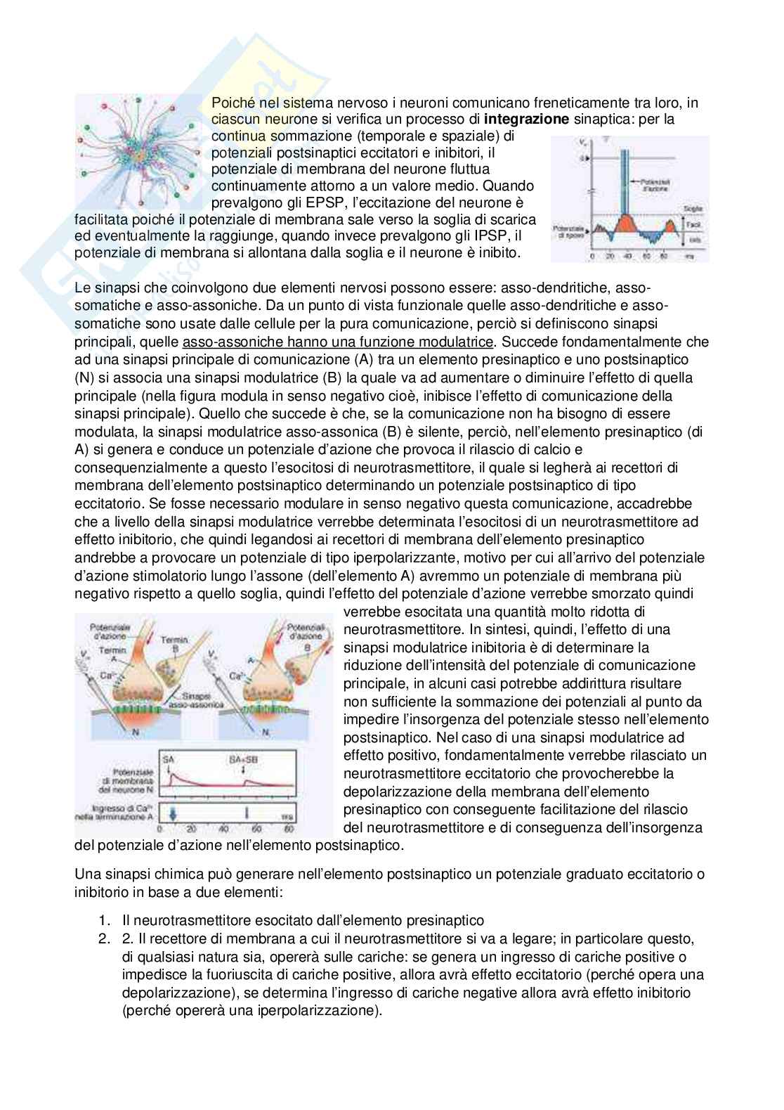 Fisiologia - Prima parte  Pag. 51