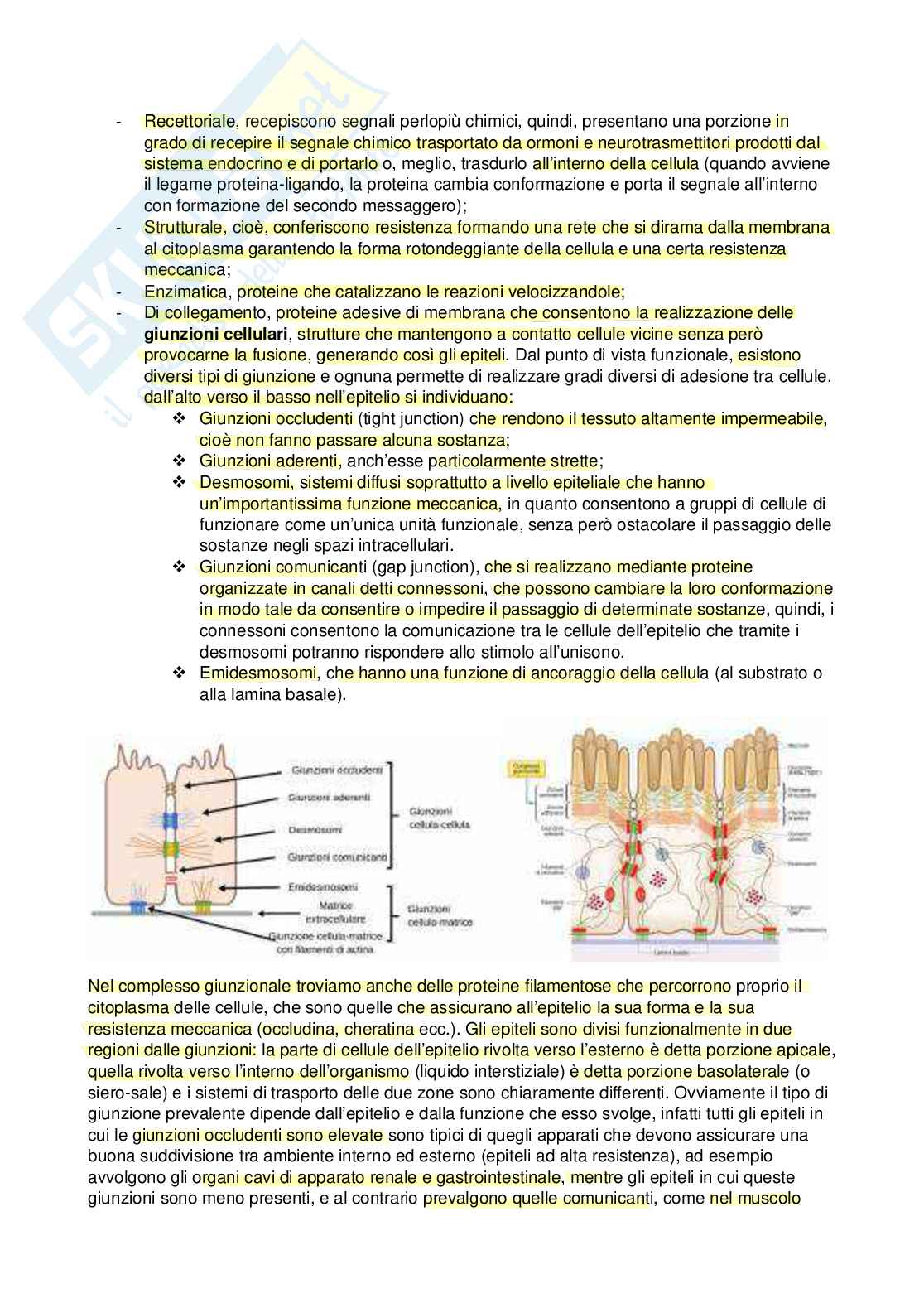 Fisiologia - Prima parte  Pag. 6
