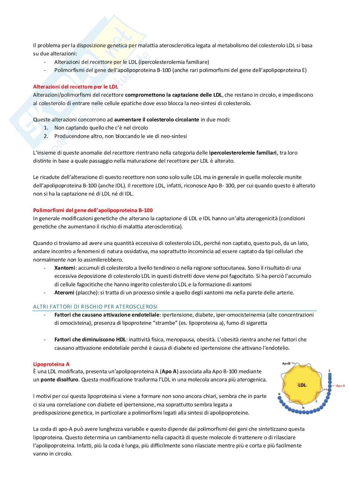 Appunti di Fisiopatologia   Pag. 11