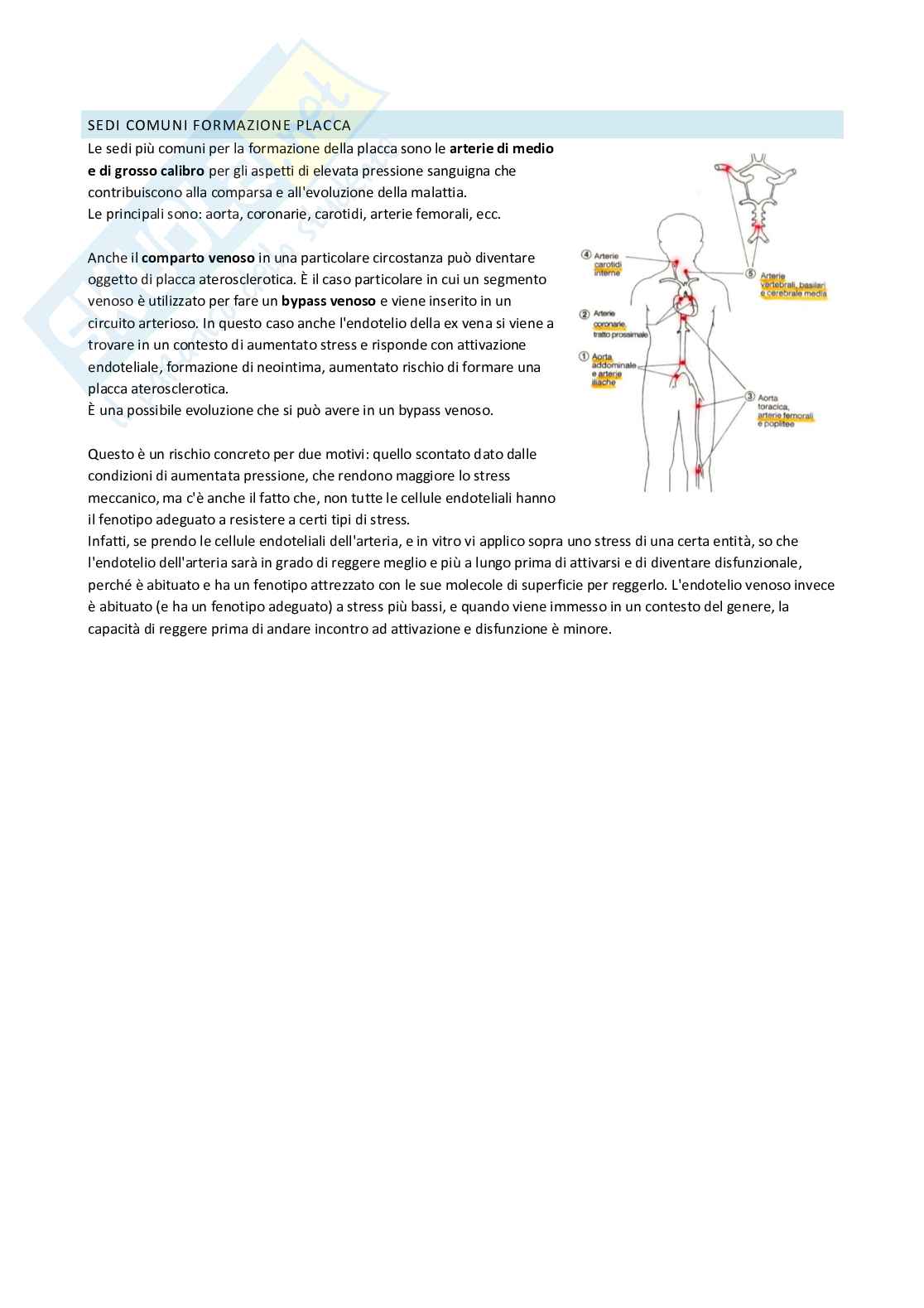 Appunti di Fisiopatologia   Pag. 21