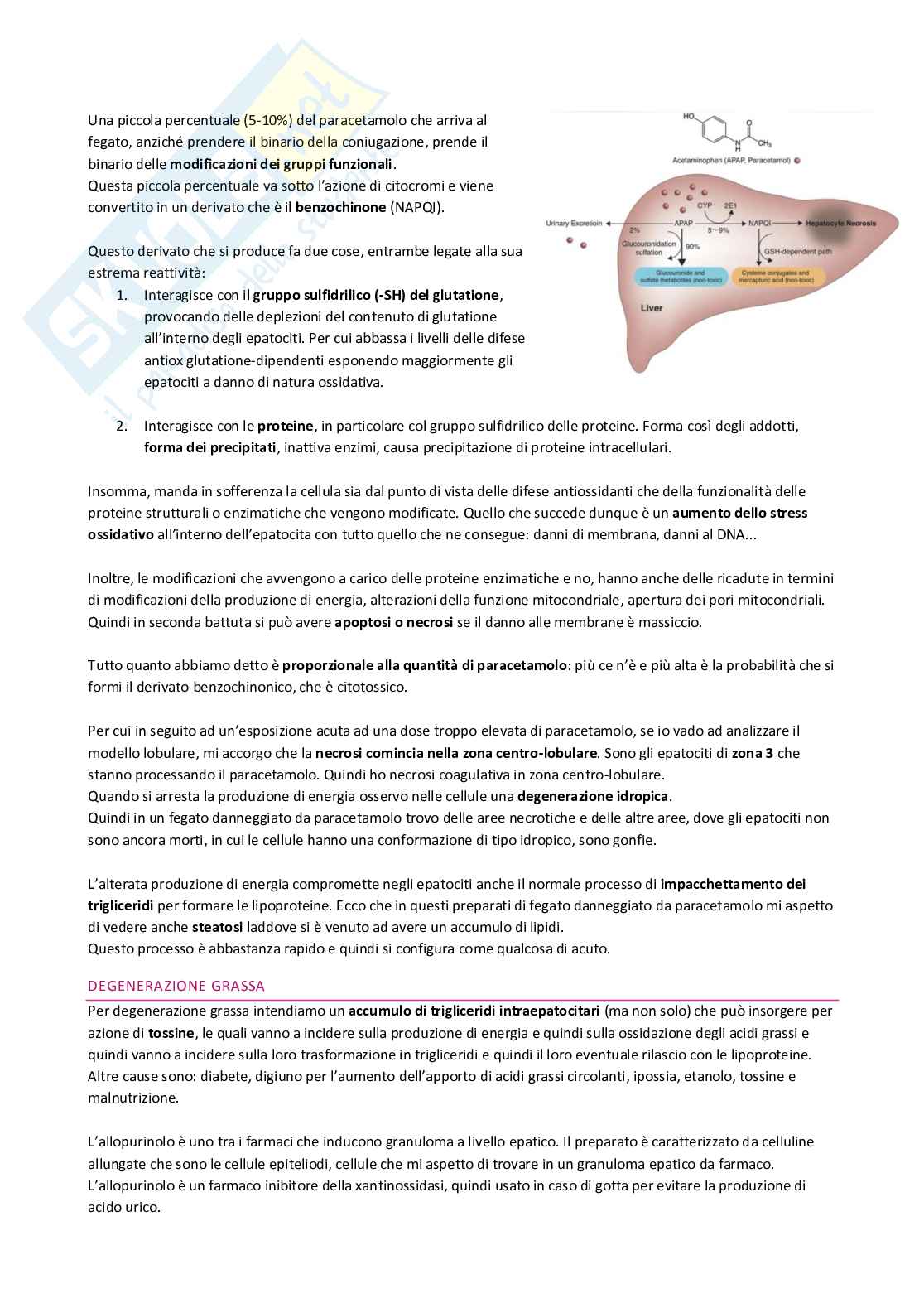 Appunti di Fisiopatologia   Pag. 71