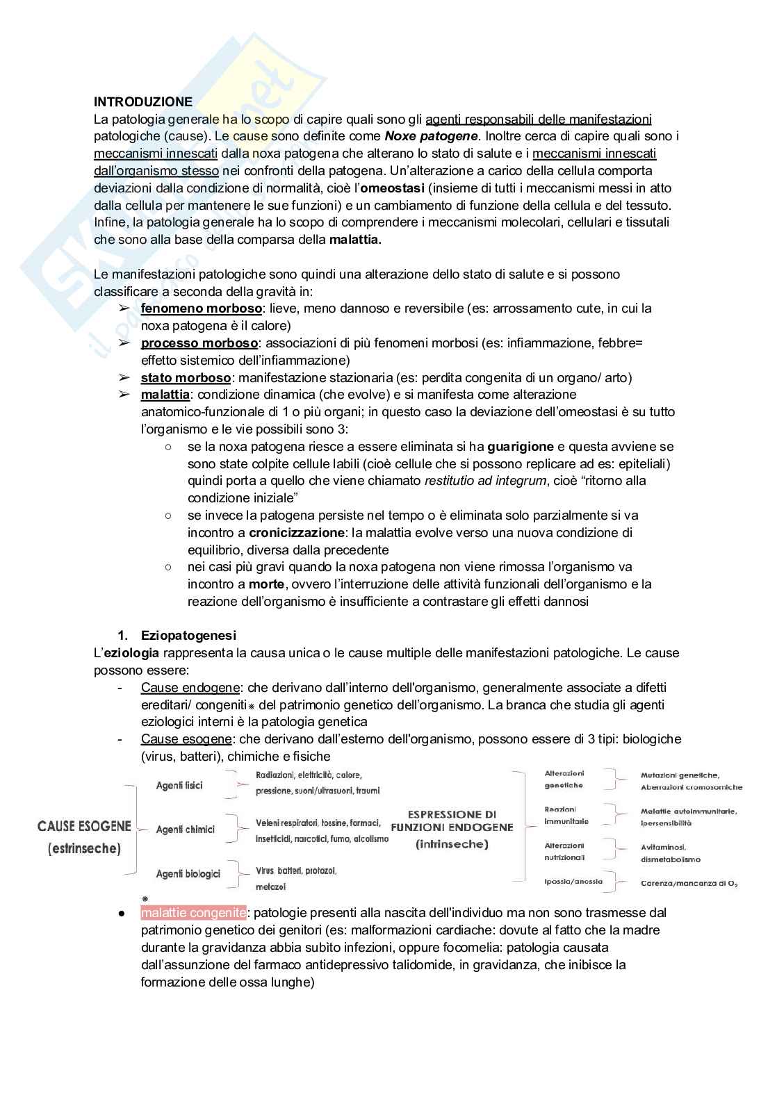 Appunti di Patologia generale Pag. 1