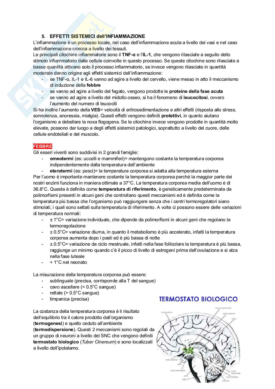 Appunti di Patologia generale Pag. 26