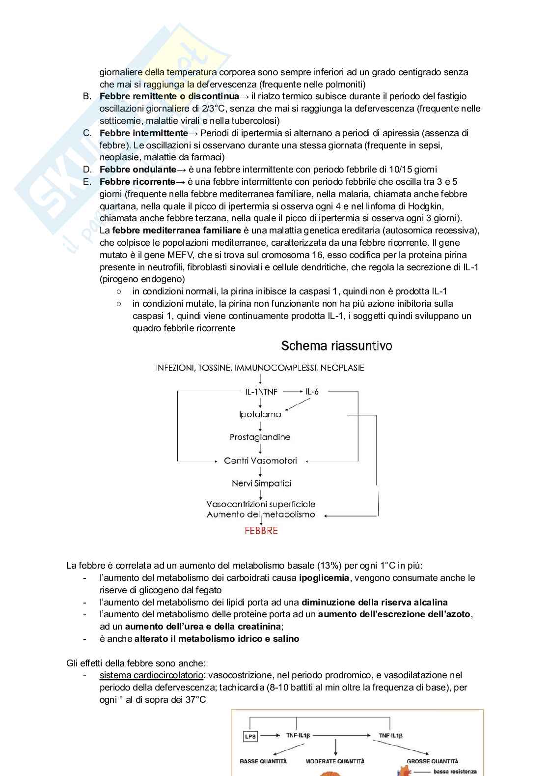 Appunti di Patologia generale Pag. 31