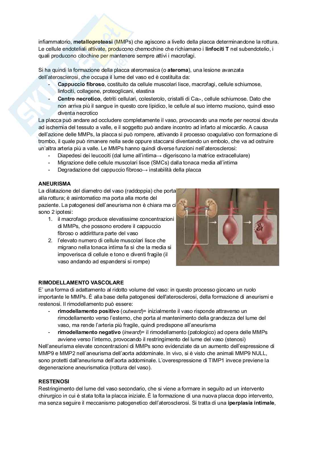 Appunti di Patologia generale Pag. 41