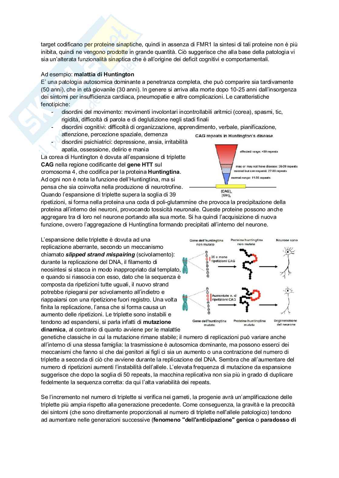 Appunti di Patologia generale Pag. 56