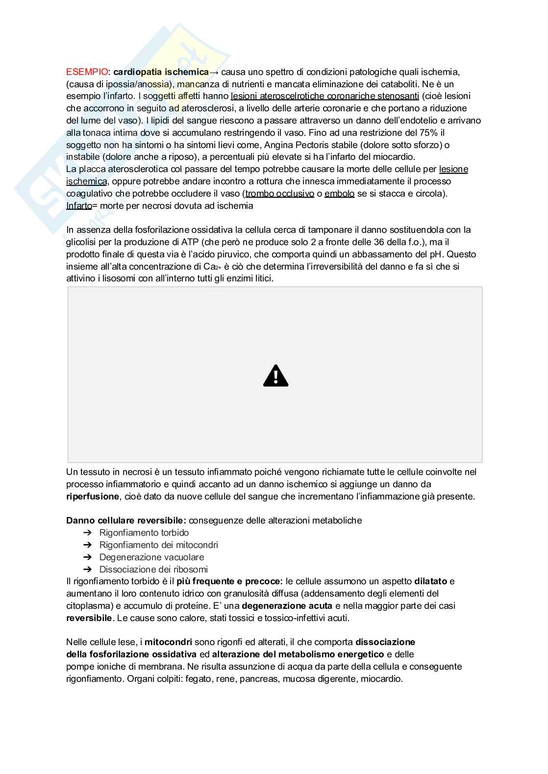 Appunti di Patologia generale Pag. 6