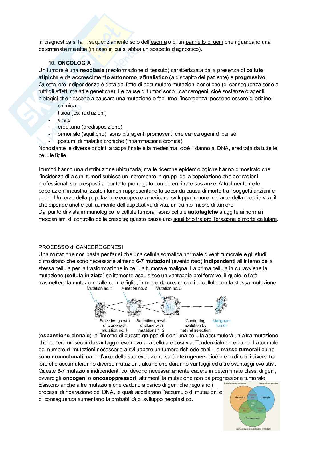 Appunti di Patologia generale Pag. 61