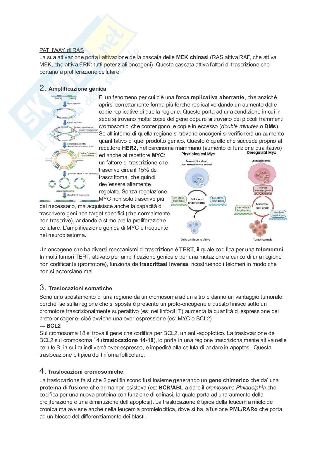 Appunti di Patologia generale Pag. 66