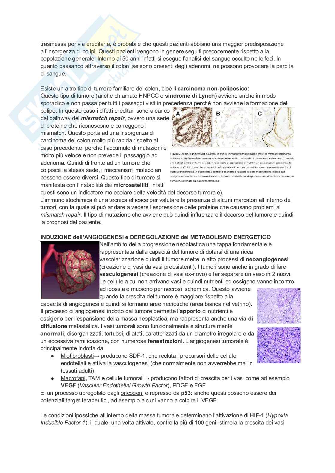 Appunti di Patologia generale Pag. 71
