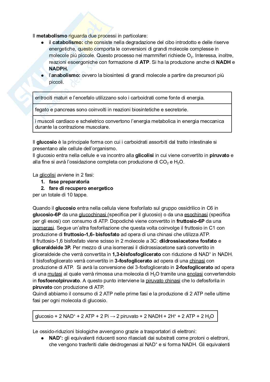 Appunti di Biochimica - metabolismo e regolazione   Pag. 1