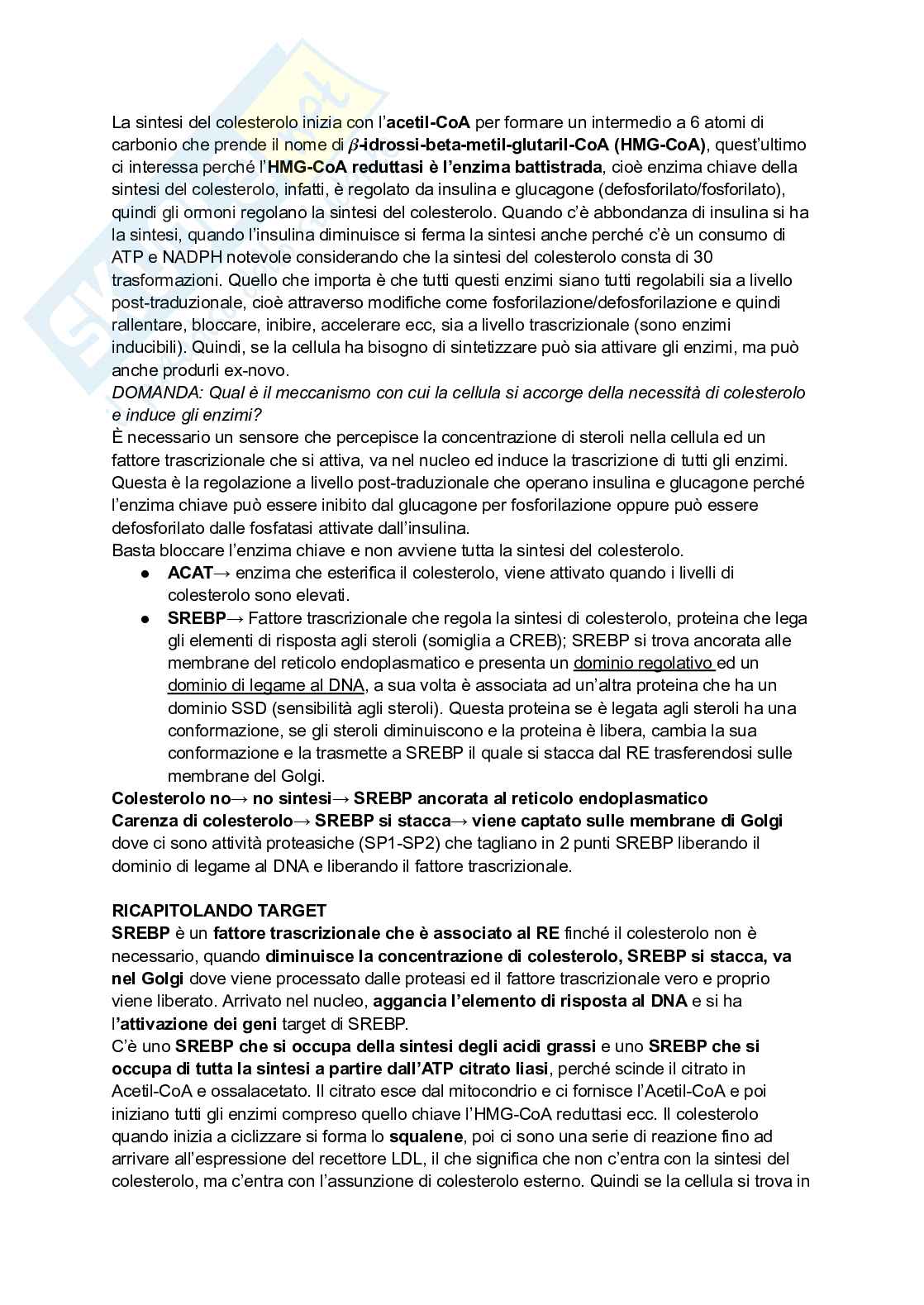 Appunti di Biochimica - metabolismo e regolazione   Pag. 26