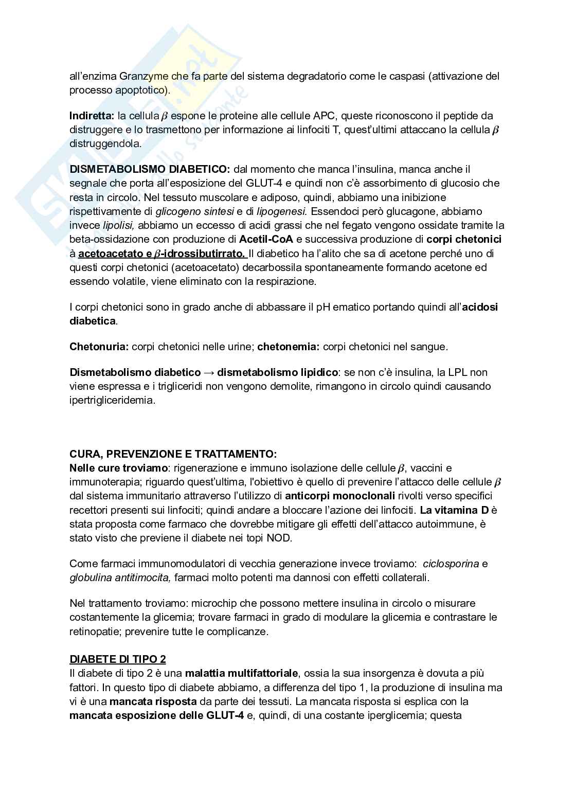 Appunti di Biochimica - metabolismo e regolazione   Pag. 31
