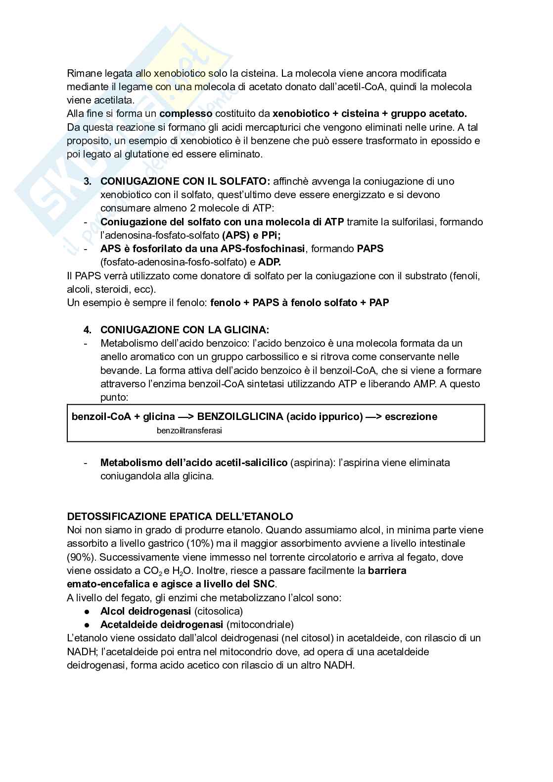 Appunti di Biochimica - metabolismo e regolazione   Pag. 41
