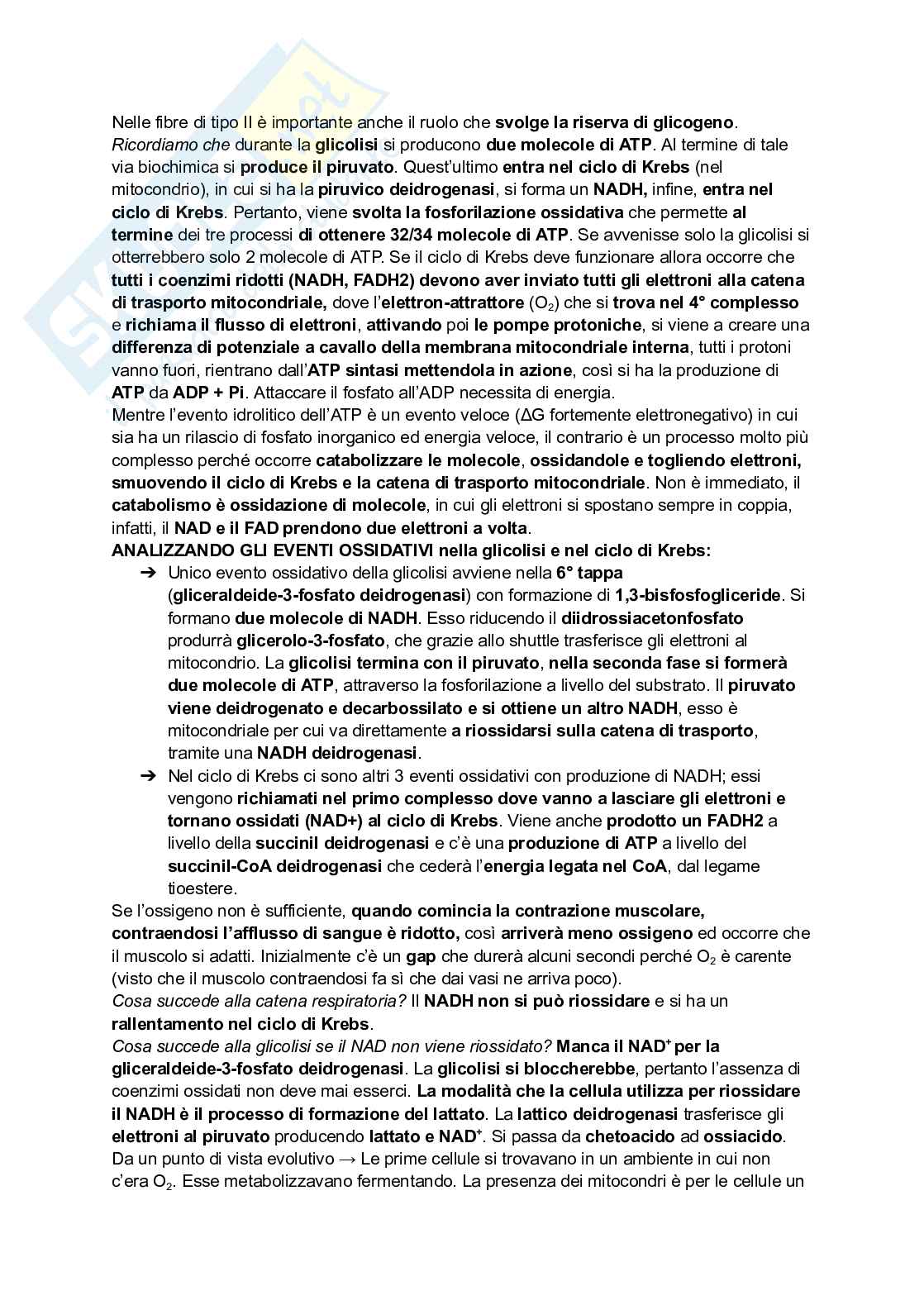 Appunti di Biochimica - metabolismo e regolazione   Pag. 46