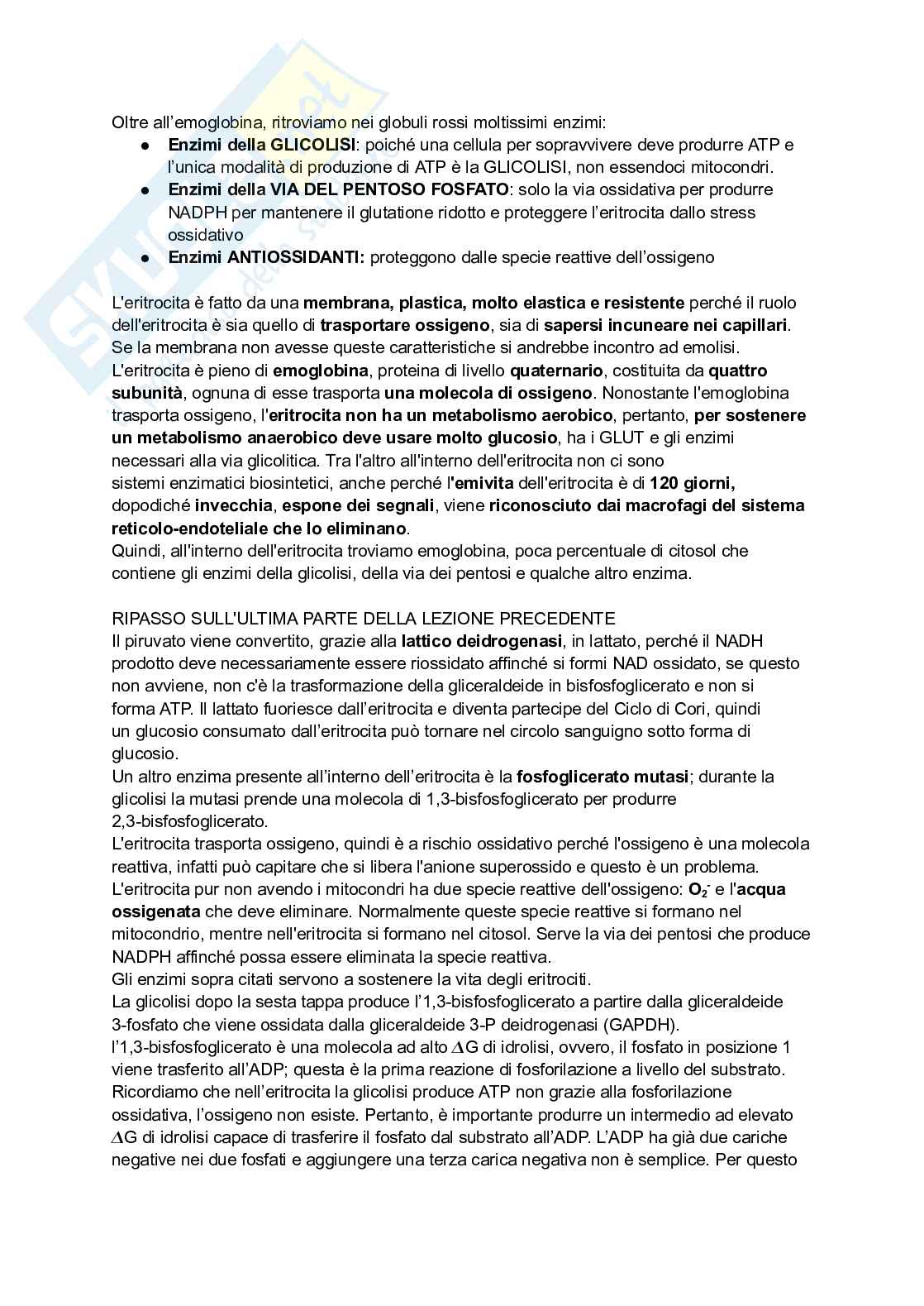 Appunti di Biochimica - metabolismo e regolazione   Pag. 56