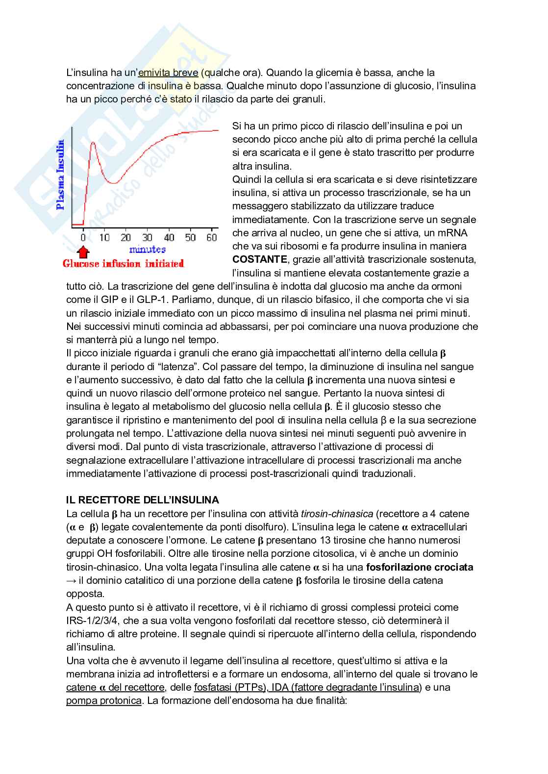 Appunti di Biochimica - metabolismo e regolazione   Pag. 6