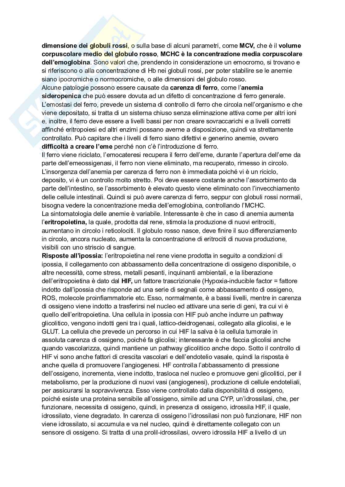 Appunti di Biochimica - metabolismo e regolazione   Pag. 61