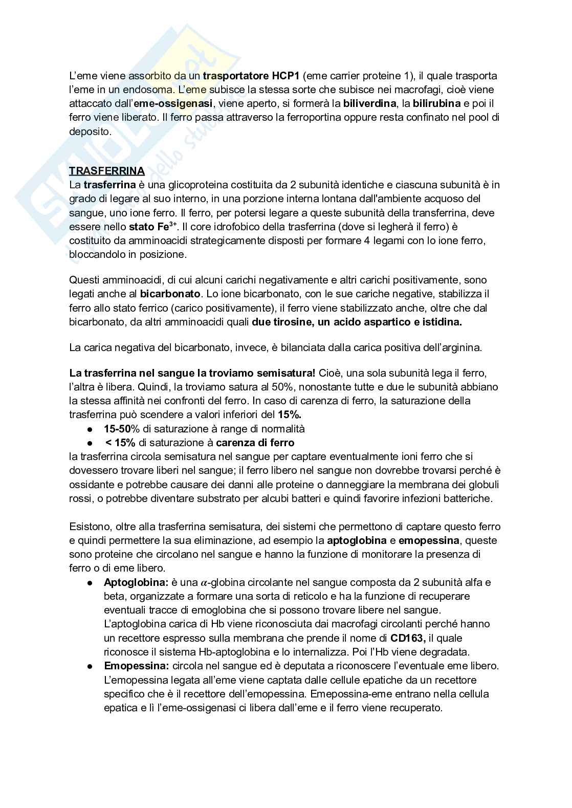 Appunti di Biochimica - metabolismo e regolazione   Pag. 66