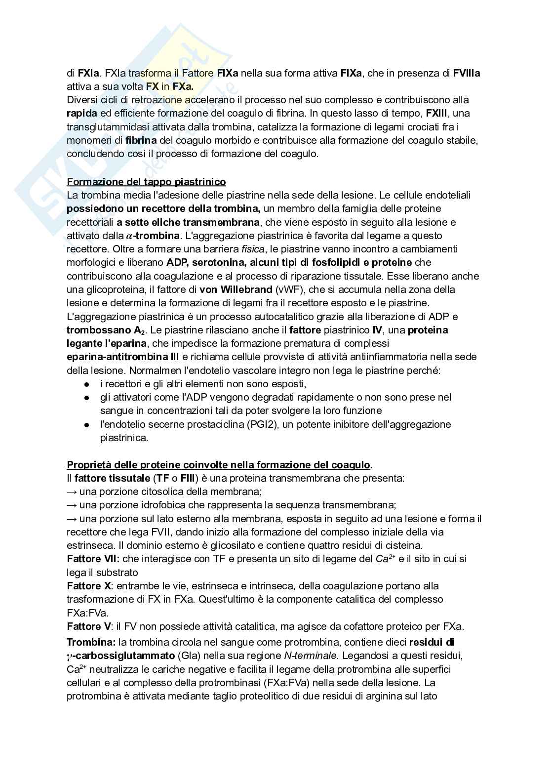 Appunti di Biochimica - metabolismo e regolazione   Pag. 76