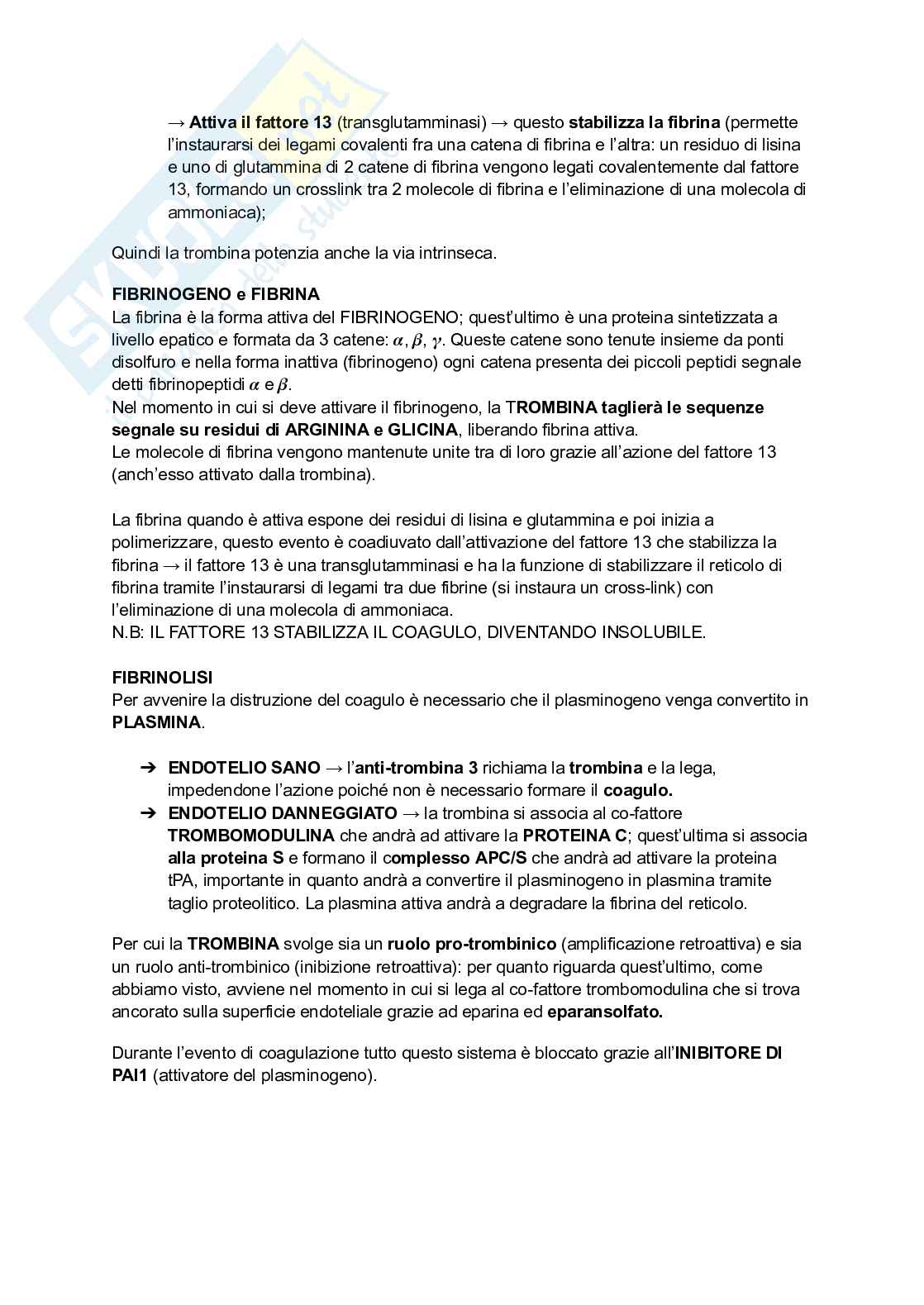 Appunti di Biochimica - metabolismo e regolazione   Pag. 81