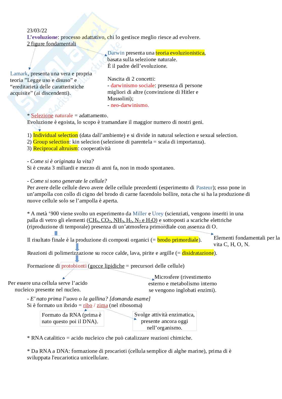 Biologia animale Pag. 6