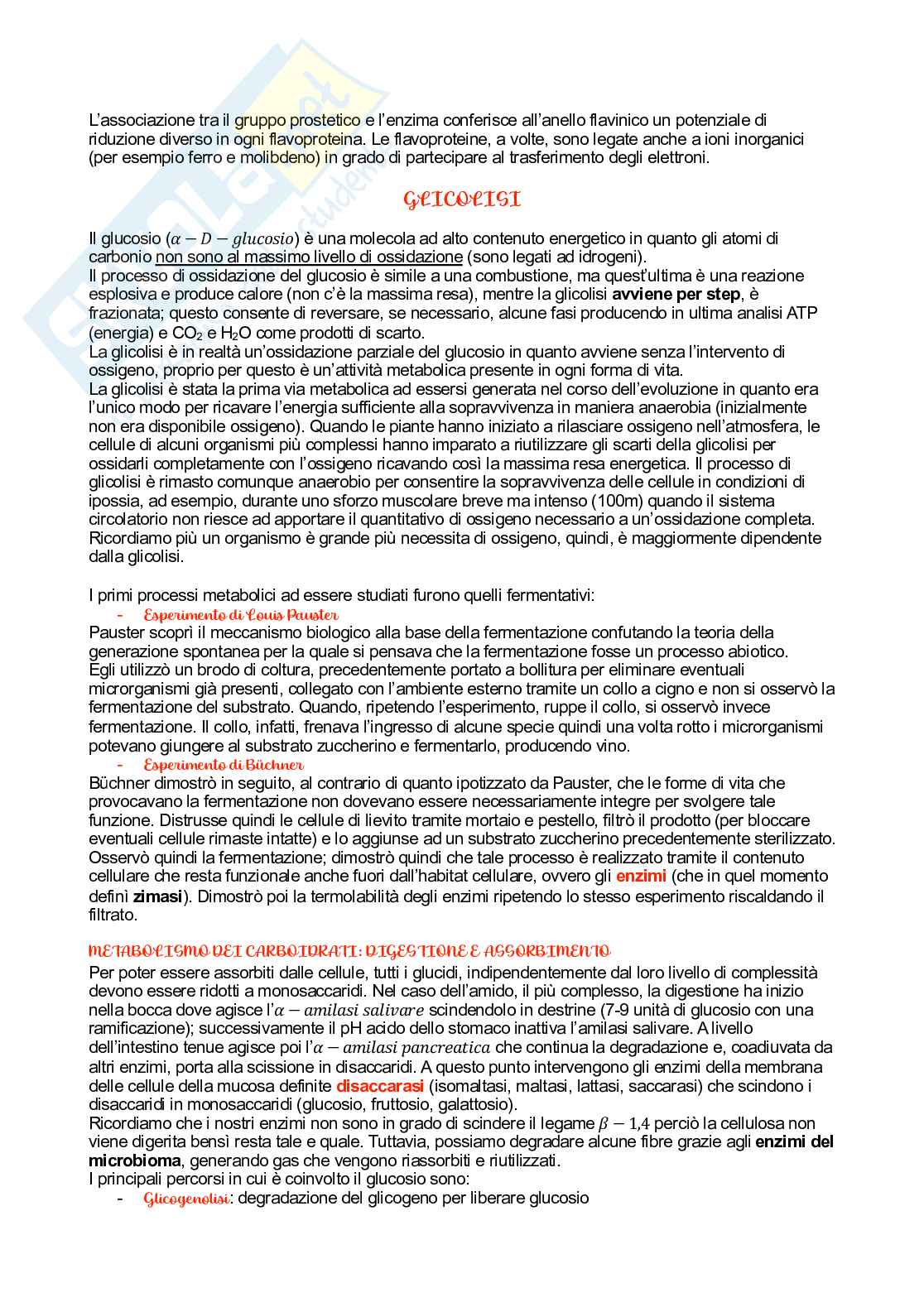 Biochimica   Pag. 11