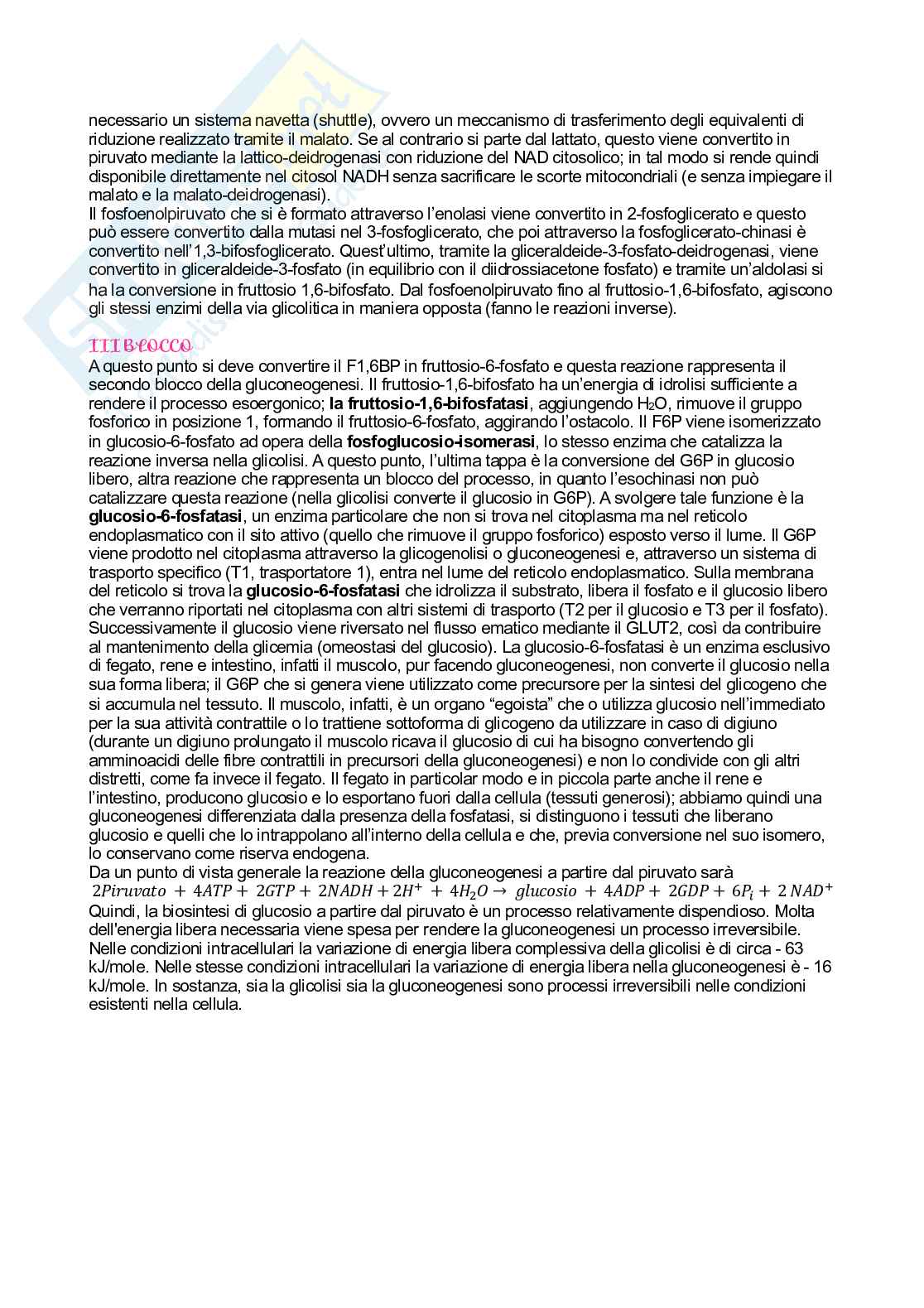 Biochimica   Pag. 36