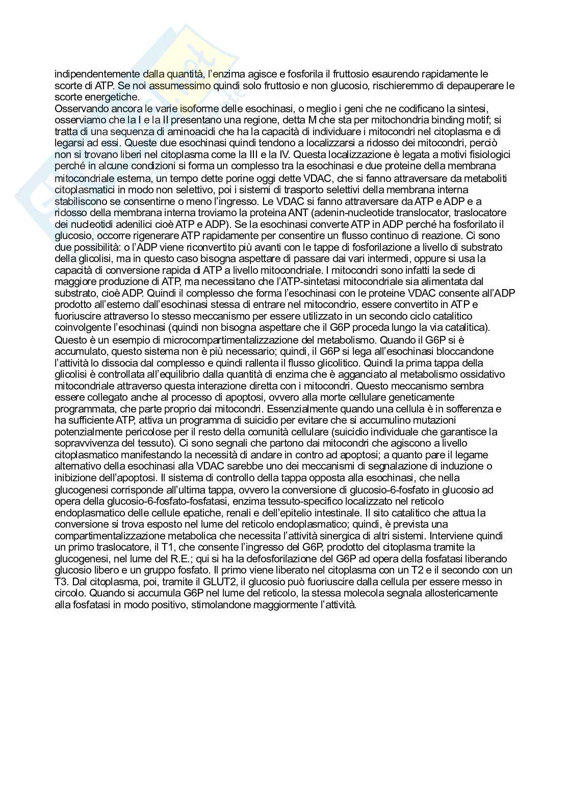 Biochimica   Pag. 41