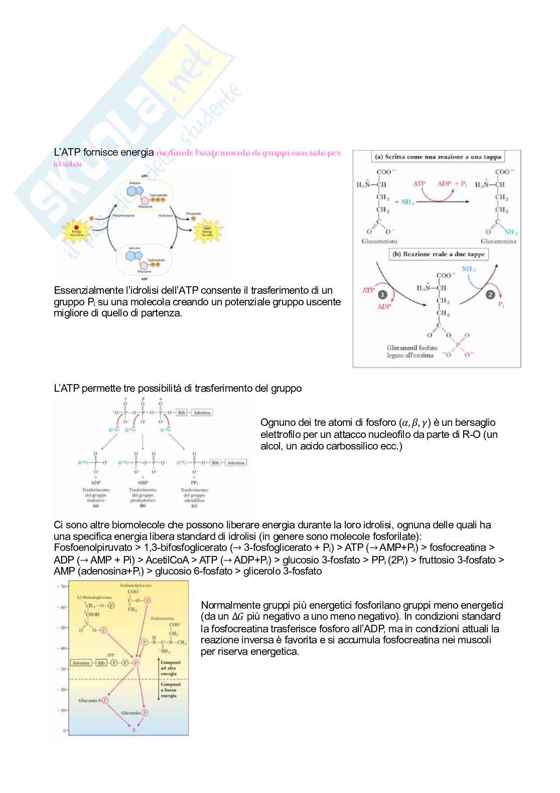 Biochimica   Pag. 6
