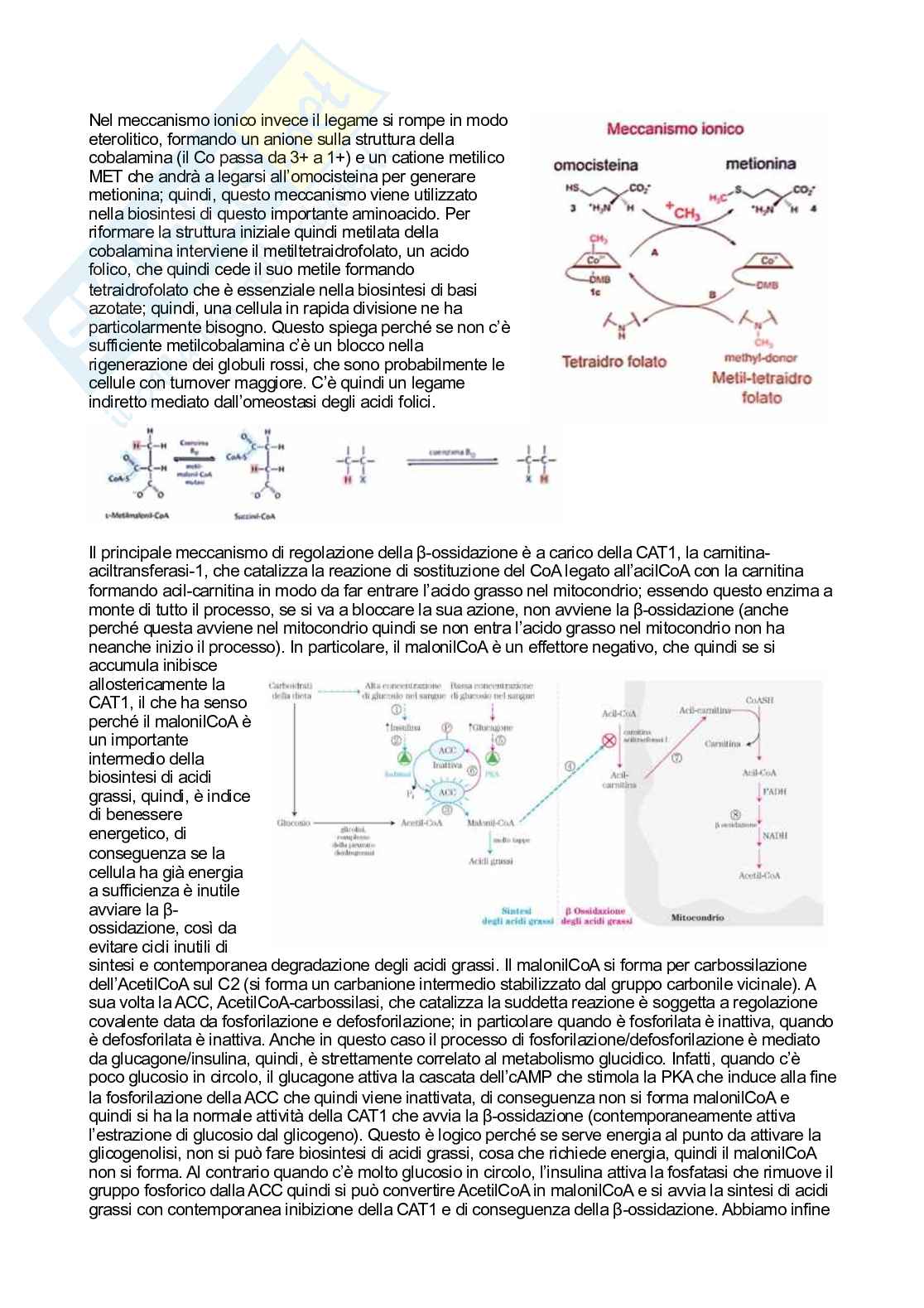 Biochimica   Pag. 71