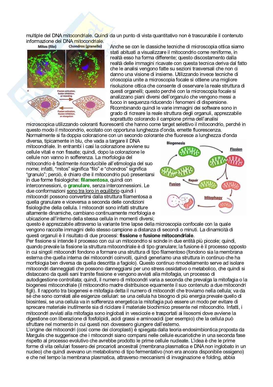 Biochimica   Pag. 76