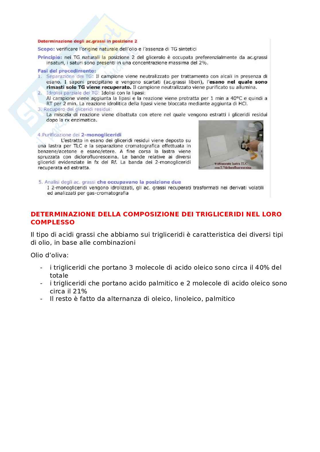 Olio d'oliva Pag. 21