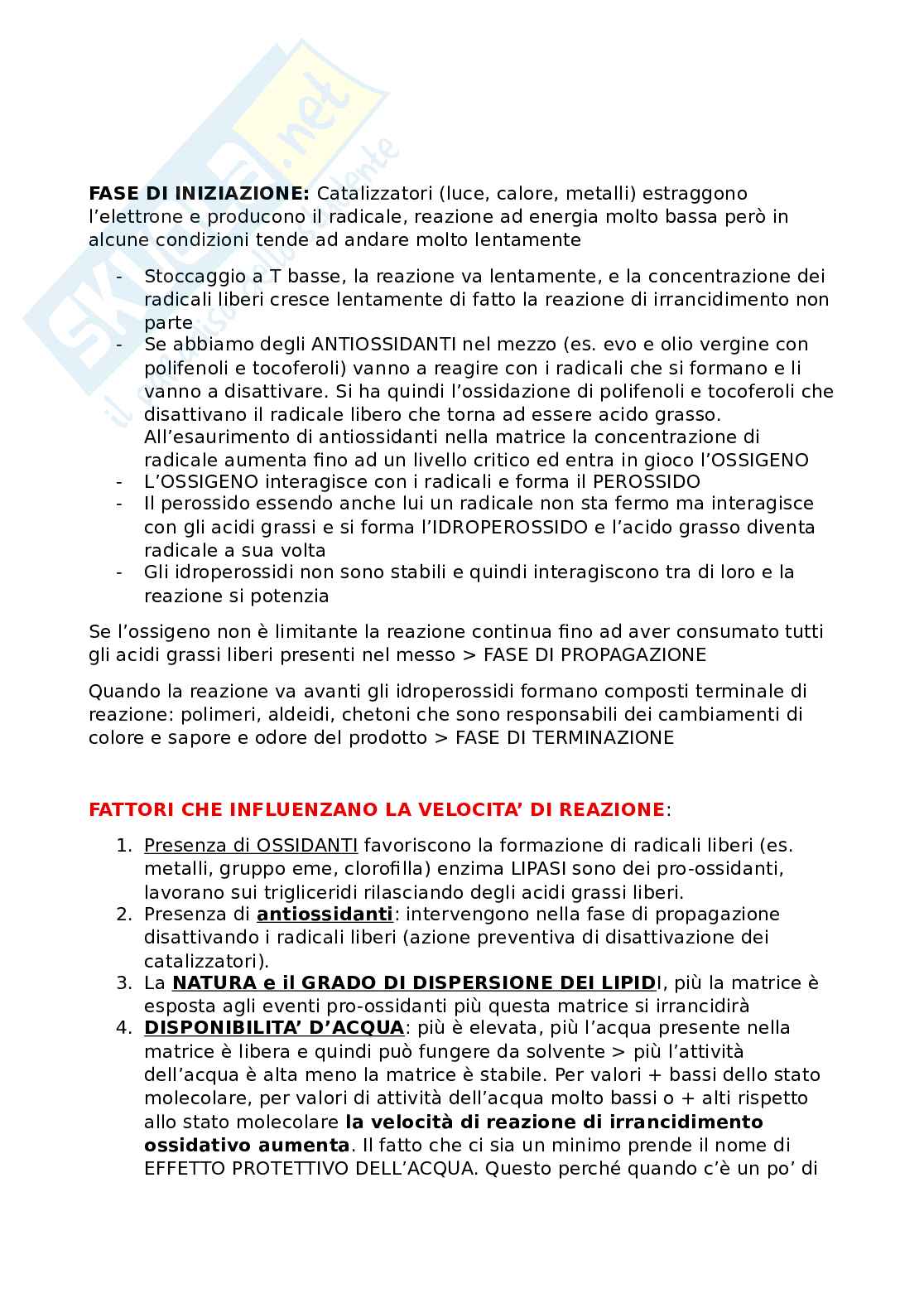 Olio d'oliva Pag. 6